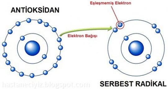 Serbest Radikal Olusumunu Artiran Etmenler Guncel360